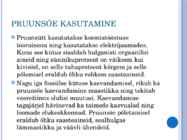 Pruunsüsi #6