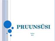 Pruunsüsi