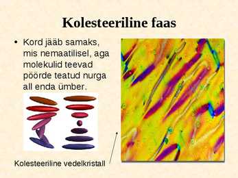 Vedelkristallid #8