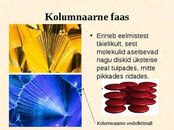 Vedelkristallid #9