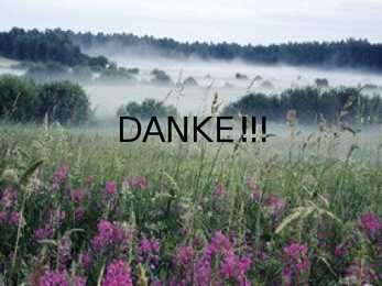 Natur Estlands #13