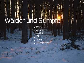 Natur Estlands #7