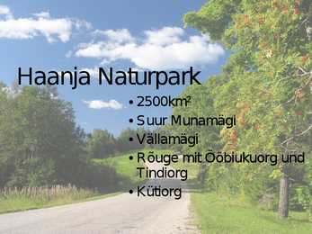 Natur Estlands #8