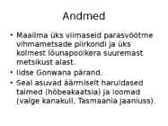Austraalia vaatamisväärsused #14