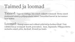 Suur tasandik #4
