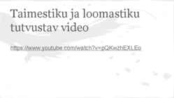 Suur tasandik #10