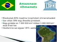Brasiilia Liitvabariik #8