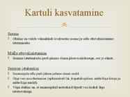 Kartul #4