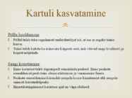 Kartul #6
