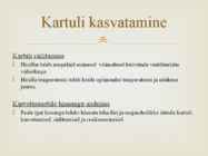 Kartul #7