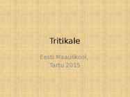 Tritikale-esitlus