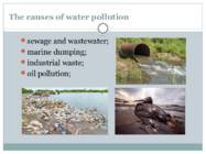 WATER POLLUTION #2