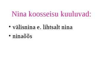 Nina #3