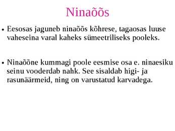 Nina #5