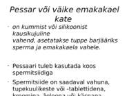 Väike emakakaela kate #2
