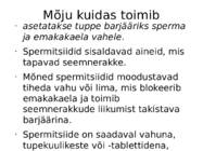 Väike emakakaela kate #4