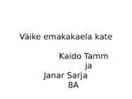 Väike emakakaela kate