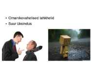 Ettevõtlusega kaasnevad hüved-probleemid ja riskid #13