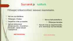 Söögi- ja mürgiseened #15