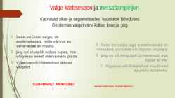 Söögi- ja mürgiseened #3