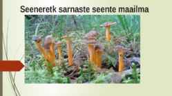 Söögi- ja mürgiseened