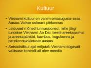 Vietnam #8