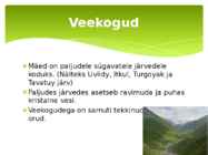 Uurali mäestik #4