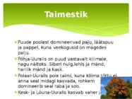 Uurali mäestik #7