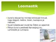 Uurali mäestik #9