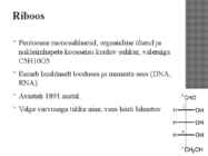 Aldoosid #7