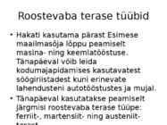 Roostevaba teras #3