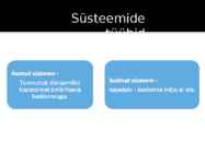 Süsteemiteooria ja võrgustikuteooria debatt #4