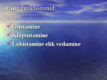 Hiir - PowerPoint esitlus #6