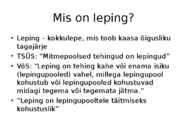 Lepingud #4