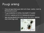 Puugid #3