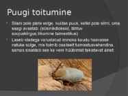 Puugid #5