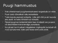Puugid #6
