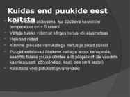 Puugid #9