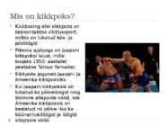 Estonian Academy of Kickboxing #2