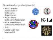 Estonian Academy of Kickboxing #3