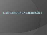 Laevandus ja meresõit