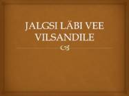 JALGSI LÄBI VEE VILSANDILE