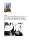 Juugend #3