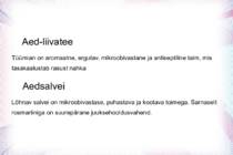 Juuste ja peanaha looduslik hooldus #6