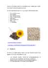 VITAMIINID #11