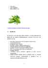 VITAMIINID #15