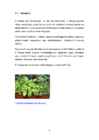 VITAMIINID #9