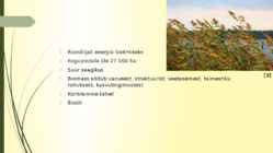 Rohumaad taastuvenergia allikana-biogaasi tootmine rohtsest massist-energiahein #11