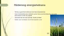 Rohumaad taastuvenergia allikana-biogaasi tootmine rohtsest massist-energiahein #9