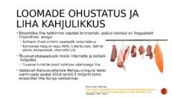 Eksootiline liha #6